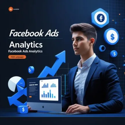Facebook Ads Analytics
